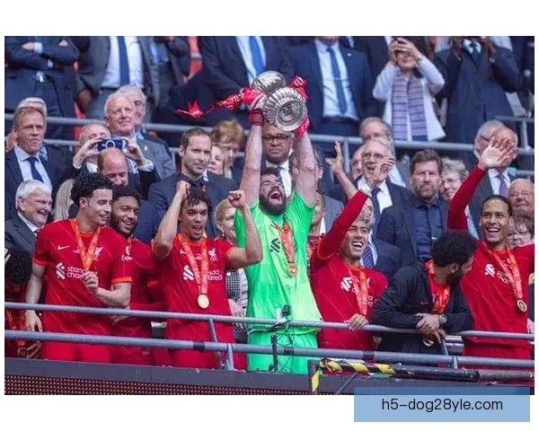 泥泞成战场狼队足总杯似诺曼底