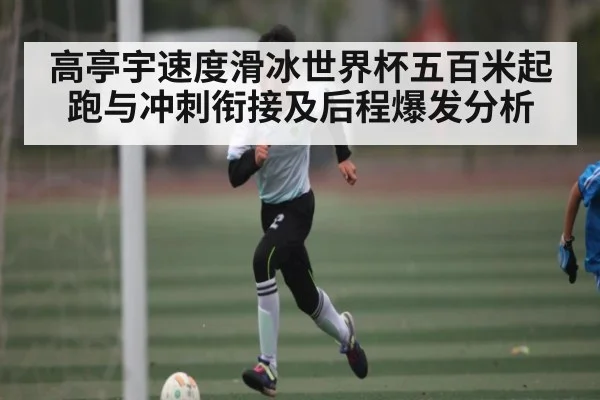 高亭宇速度滑冰世界杯五百米起跑与冲刺衔接及后程爆发分析